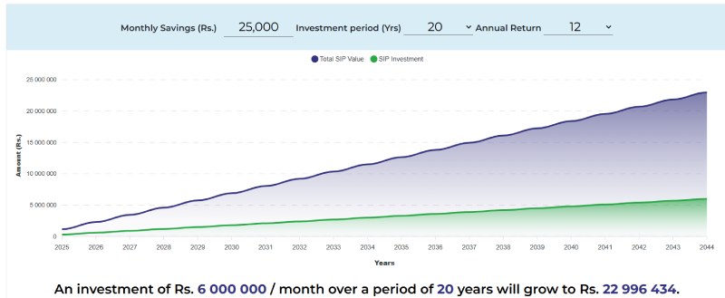 Avis Investment