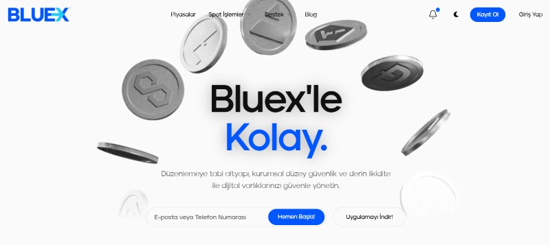 BlueX