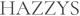 Nowhazzys logo
